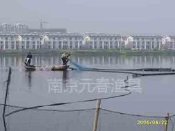 河流 沉网捕捞示范