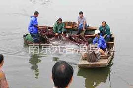 生态养殖机械汽动捕捞网